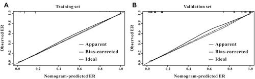 Figure 5 Calibration ability of the recurrent nomogram. The recurrent nomogram exhibited a high correlation between the actual probability and predicted probability of early recurrence both in the training group (A) and validation group (B).