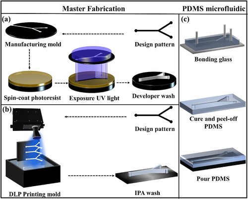 Figure 1. (a) Photolithography steps for mold fabrication. (b) DLP 3D printing steps for mold fabrication. (c) PDMS replica molding for microfluidic devices fabrication.