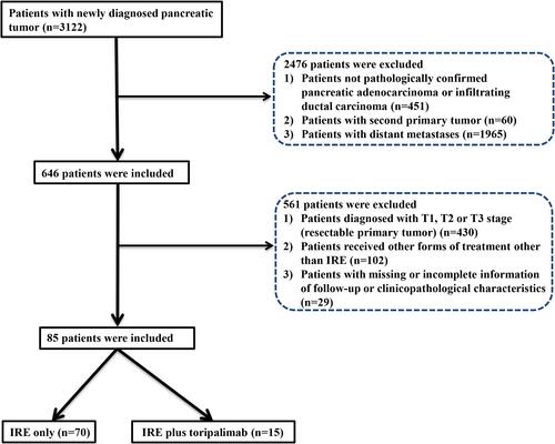 Figure 1 Flowchart of the included patients.