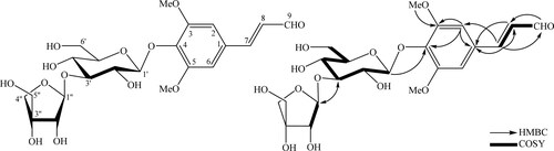 Figure 1. The chemical structure and the key HMBC and COSY correlations of compound 1.