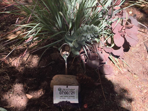 Figure 3. Madison Mikel, “Time-Based Object Harvest,” Portland, Oregon. Objects: Metallic plastic spoon, parking permit, rock, plants, and branches.