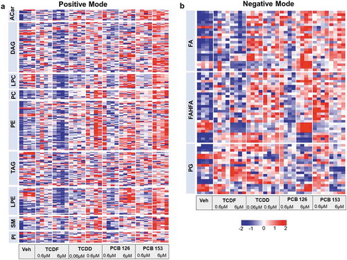 Figure 4. UPLC-MS/MS-based metabolomics analysis of lipid profiling from isolated cecal bacteria in response to POPs exposure in vitro. Heat map representation of the abundance of lipids from isolated cecal bacteria with vehicle or two doses of POPs exposure for 4 h from positive (a) and negative (b) modes. Red shades represent metabolites that are increased, and blue shades represent metabolites that are decreased. (n = 4 per group)