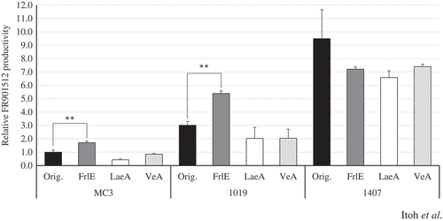 Figure 1. Productivity of FR901512 with overexpressing genes of transcription factor, FrlE, and global regulators, LaeA and VeA.Productivity is shown as the amount of FR901512 produced per dry cell weight of each overexpression mutant relative to the MC3 strain. Three replicate experiments were performed, and the values of the means and standard deviations are presented (**, p < 0.01 [Student’s t test]).
