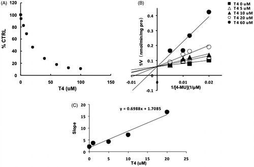 Figure 3. Inhibition kinetics of T4 on the activity of UGT1A3. (A) Concentration-dependent inhibition of T4 on the activity of UGT1A3. Each data point represents the mean value of duplicate experiments. (B) Lineweaver–Burk plot to determine the inhibition kinetic type of T4 on UGT1A3. Each data point represents the mean value of duplicate experiments. (C) The second plot to determine the inhibition kinetic parameter (Ki). The vertical axis represents the slopes of the lines in the Lineweaver–Burk plot, and the horizontal axis represents the concentration of T4.