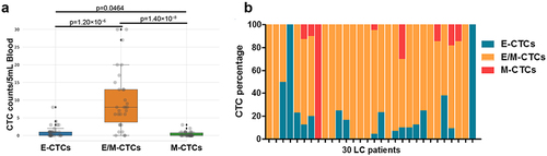 Figure 2 Distribution of CTC phenotypes in 30 LC patients before treatment.