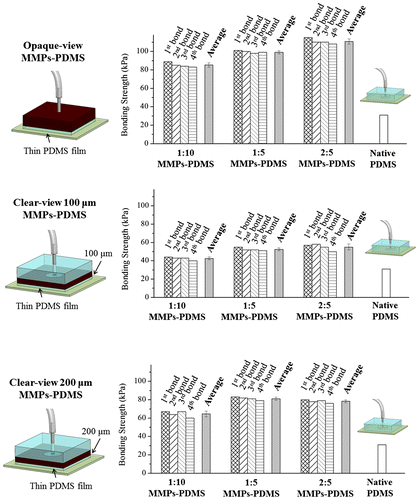 Figure 11. Bonding strength of MMPs-PDMS microchannel with thin PDMS film coating.