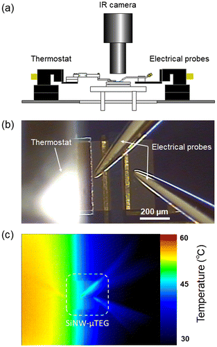 Figure 4. (a) Schematic of the customized measurement system; (b) Optical photograph of the SiNW-μTEG, electrical probes, and thermostat during measurement; (c) Temperature distribution captured by an IR thermography camera when a heat source is applied.