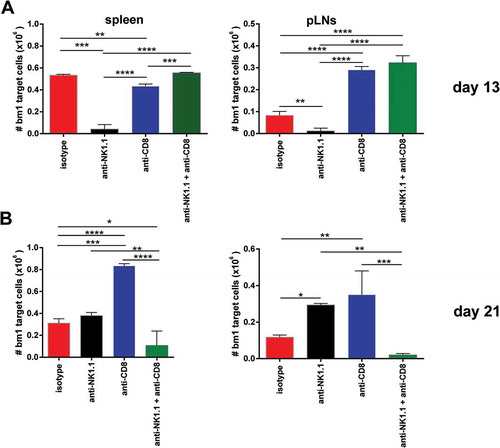 Figure 6. NK cell depletion augmented in vivo CTL activity of skin-grafted sensitized allogeneic CD8 T cells against bm1 hematopoietic target cells.bm1 skin-grafted B6 recipients were challenged with CFSE-labeled target bm1 cells at day 13 (time of rejection for NK cell-depleted group) and day 21 (time of rejection for CD8/NK cell-depleted group) after Tx. The killing of bm1 hematopoietic target cells was evaluated as the total cell counts of bm1 cells remaining in spleen (A) and pLNs (B) 24 hours after i.v. injection of 15 × 10Citation6 of CFSE-labeled bm1 target splenocytes at day 13 and day 21 after Tx. Results are displayed from one representative experiment out of two with three mice for each experimental group. Results are displayed as mean ± SD. *, p < 0.05; **, p < 0.005; ***, p < 0.0005 were considered statistically significant.