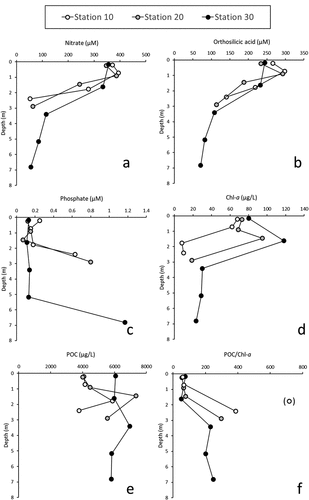 Figure 3. Vertical distributions of (a) nitrate, (b) orthosilicic acid, (c) phosphate, (d) chlorophyll-a (Chl-a), (e) particulate organic carbon (POC) and (f) POC:Chl-a ratio at stations 10, 20 and 30 in the Ria Penfeld reservoir in June 2021.