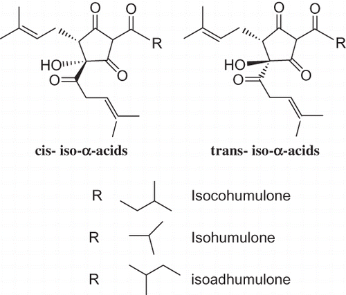 Figure 1 Isomer structures of iso-α-acids.