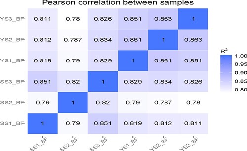 Figure 4. Expression correlation plot between samples.