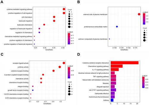 Figure 7 Gene Ontology enrichment map. (A) Biological processes. (B) Cell composition. (C) Molecular function. (D) KEGG (Kyoto Encyclopedia of Genes and Genomes) pathway.