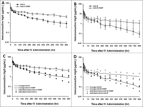 Figure 3. The V308P Fc variant shows no improvements in the cynomolgus monkey pharmacokinetics for a mAb with charge-based NSB, but does improve the clearance of a mAb with no charge-related NSB. Mean pharmacokinetic profiles of (A) mAbs A and A-V308P, which had no charge-associated NSB, and (B) B and B-V308P, which showed binding to heparin in vitro. Individual animal pharmacokinetic profiles of (C) mAbs A and A-V308P and (D) B and B-V308P. Data are the mean ± SD (standard deviation) for 3 animals/time point for all the mAbs. The pharmacokinetics were assessed following a single IV dose of 2 mg/kg for each mAb.