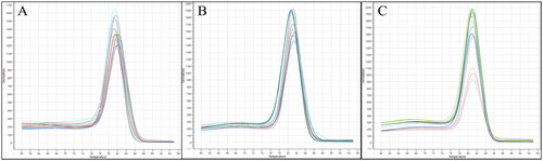 Figure 5. Melting curve analysis via qRT-PCR using specific primers. (A) Tuber borchii; (B) Tuber koreanum; and (C) Tuber melanosporum.