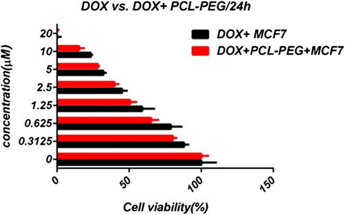 Figure 18. Cytotoxic effect of free and encapsulated doxorubicin on MCF7 over a 24-h exposure.