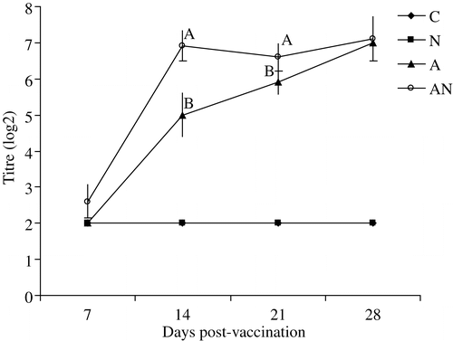 Figure 1. NDV haemagglutination inhibition antibodies in the unvaccinated (C), APV (N), NDV (A) or dual-vaccinated (AN) groups. Different superscripts at similar sampling times indicate that titres differ significantly (P<0.05).