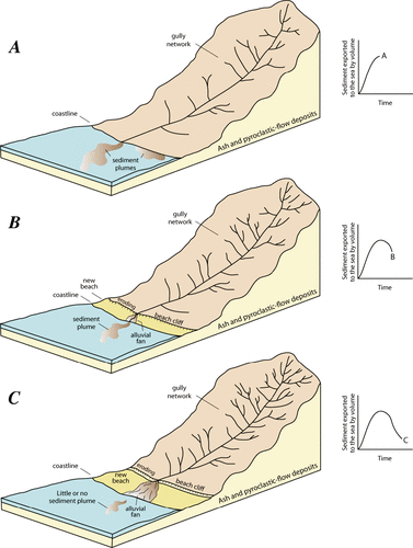 Figure 13 Schematic diagram illustrating the evolution of the gully network on the flanks of Kasatochi volcano and the interplay among sediment delivery to the coast and growth of new beaches. (A) Initial phase of gully development and approximate time of maximum sediment yield. (B) Intermediate phase of gully development and growth of new beaches. (C) Declining phase of gully growth and sediment yield. See text for further discussion.