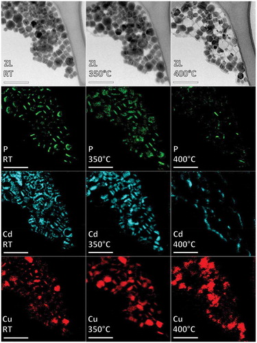 Figure 8. ZL images and EFTEM elemental maps of a group of nano-sandwiches recorded during a thermal annealing from RT to 400ºC and showing the progressive disappearance of P and Cd and the concomitant expansion of Cu. Scale bars correspond to 100 nm. Reprinted with permission from [Citation30]. Copyright [2013] American Chemical Society.