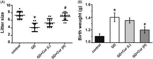 Figure 4. Curcumin (Cur) alleviates gestational diabetes (GD) reproductive outcome. Litter size (A) and body weight after birth (B) were recorded in different experimental groups (n = 12). *p < 0.05, compared with control; #p < 0.05, compared with GD.