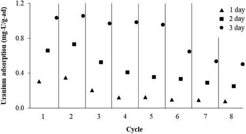 Figure 9. Repeatability test of amidoximed polymer particles (AN:MAA of 80:20, crosslinking agent of 1 g/100 mL, H2O2 of 60 mL).