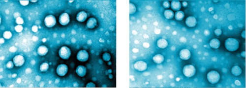 Figure 3. TEM images of composite emulsion particle (×200000 times).