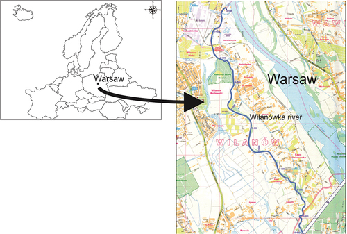 Figure 1. Research area in the Wilanówka River, Poland.