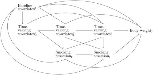 Figure 1. A simplified representation of the causal DAG relating smoking cessation and body weight. It includes the variables smoking cessation, body weight, baseline covariates, and time-varying covariates. The arrows represent the nonparametric links between them. ‡Age, sex, ethnicity. *Body weight, socioeconomic factors, alcohol consumption, physical activity, energy intake, and comorbidities.