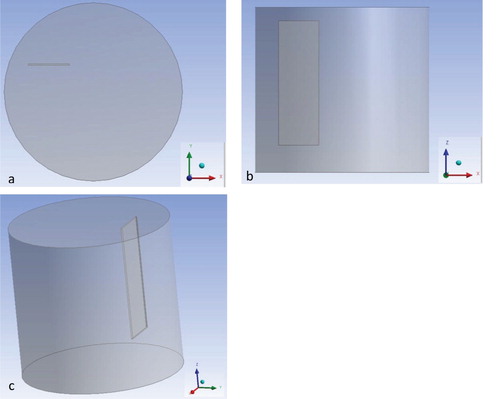 Figure 1. (a) Top view, (b) side view and (c) 3D view of paddle location in the computational beaker of the oscillator. The diameter of the beaker is 13 cm, the height of the beaker is 12.3 cm, the height of the paddle is 9.3 cm and the distance of the paddle from the water surface and from the bottom of the beaker is 1 and 2 cm respectively.