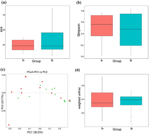 Figure 2. Gut microbial alpha diversity and beta diversity in the CS (A) and VD (B) groups.Ace: abundance based coverage estimator; PC: principal component; PCoA: principal co-ordinates analysis. (a) Distribution of ace estimator, (b) Distribution of Simpson’s diversity index, (c) Principal coordinate analysis based on weight, (d) Weighted UniFrac metrics of faecal samples in the two groups.