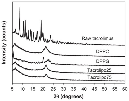 Figure 7 X-ray powder diffraction patterns of raw tacrolimus, pure dipalmitoylphosphatidylcholine (DPPC), pure sodium dipalmitoylphosphatidylglycerol (DPPG), and organic solution advanced co-spray-dried lung surfactant mimic particles (tacrolipo25 and tacrolipo75) for dry powder inhalation.