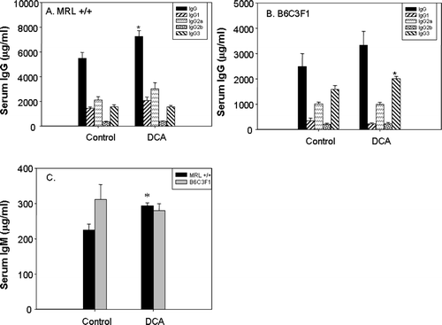 FIG. 1 Serum levels of IgG and its subtypes in MRL+/+ (A) and B6C3F1 mice (B), and total IgM (C) in mice exposed to vehicle or DCA for 12 wk. The values represent the mean ± SEM (n = 6); *p < 0.05 when compared to the respective control.