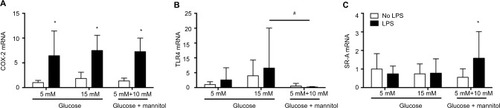 Figure 1 Expression of COX-2 (A), TLR4 (B), and SR-A (C) mRNA in THP-1 macrophages under normal glucose (5 mM), high glucose (15 mM), or mannitol (10 mM) conditions after LPS stimulation or without any stimulation after 24 or 48 hours.