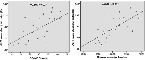 Figure 3 Relationship between ALFF values and clinical variables and cognitive performances in HIV patients. Normalized ALFF values of the right occipital cortex positively correlated with CD4+/CD8+ ratio and executive function in HIV+/cART.