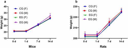 Figure 2. An analysis of body weight changes in BALB/c mice and rats before and 14 days after immunization. Body weight change (g) of vaccinated BALB/c mice (a). Body weight change (g) of vaccinated rats (b). The observation period was 14 days; the standard deviations (SD) for the mean body weight values of the groups are presented as error bars. CG: control group, EG: experimental group.