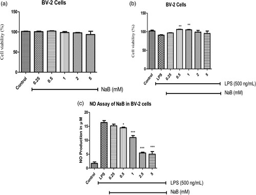 Figure 1. (a) The effect of cell viability sodium butyrate (NaB) in the BV-2 cells, (b) the effect NaB on cell viability in LPS-induced BV-2 cells, and (c) NO production against in LPS-induced BV-2 cells. Histograms were presented as mean ± SD, where n = 3. The p-value is determined by ANOVA with Tukey’s multiple test comparison and p-value less than 0.05 was expressed as statistically significant. *p < 0.05, **p < 0.001, and ***p < 0.0001 compared to the only TNF-α-treated group.