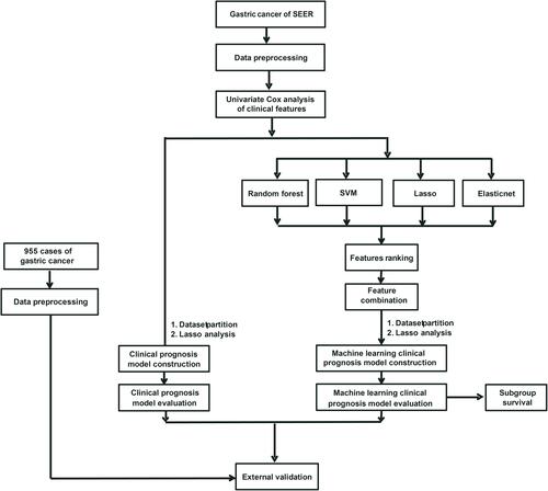 Figure 1 Work flow chart.