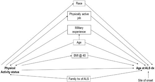 Figure 1 Directed acyclic graph (DAG) showing the associations between physical activity status and age at ALS diagnosis in the Na. ALS Registry, 2010–2018.