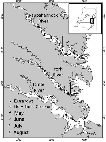 Figure 1. Map of the study area, showing sites that were sampled in the James, York, and Rappahannock rivers during May–August 2011. Arrows indicate the locations of water quality profiling stations (Virginia Estuarine and Coastal Observing System) in the York and Rappahannock rivers; triangles represent extra tows that were used to collect Atlantic Croakers.