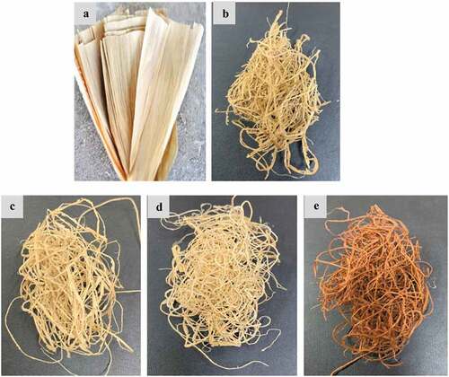 Figure 1. (a) Dry corn husk (b) Retted CHF (c) Scoured CHF (d) Bleached CHF (e) Natural dyed CHF.