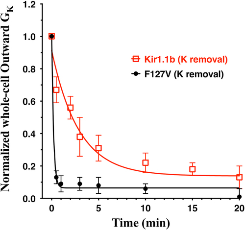 Figure 10. Decrease in whole-cell outward conductance (GK) following transitions from 10 mM K to zero K plus 15 mM of the K chelator: 18-Crown-6 (catalog no. 274984, Sigma-Aldrich), in zero Ca solutions. Outward conductances were normalized to the initial conductance in 10 mM K. Data from F127V oocytes (n = 5) and wt-Kir1.1b oocytes (n = 6) were fitted to a first order exponential decay yielding half-times of 0.1 min for F127V and 2 min for Kir1.1b. Outward macroscopic conductances were calculated as the slope of the I-V relation near the reversal potential which varied between −60 mV at 10 mM K to −110 mV at zero bath K.