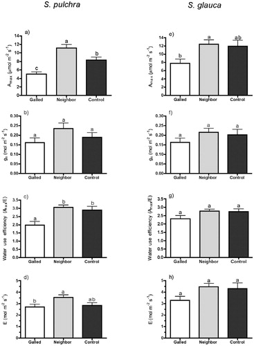 FIGURE 2. (a, e) Net photosynthetic capacity Amax , (b, f) stomatal conductance gs , (c, g) instantaneous water use efficiency WUE, and (d, h) evapotranspiration E measured in galled, neighboring ungalled, and ‘control’ leaves on two species of Salix from Toolik Field Station, Alaska. Different letters indicate a significant difference between groups at P < 0.05 (ANOVA followed by Tukey's multiple comparison tests). Bars are mean + 1 SEM.