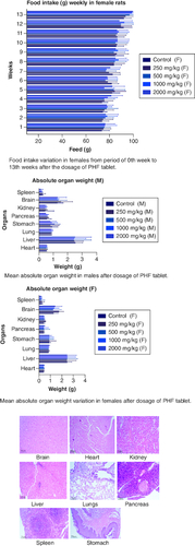 Figure 4. Represent the micrograph of the various vital organs from the control group.