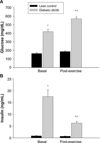 Figure 1 Effect of a 30 minute bout of exercise on plasma glucose (A) and insulin (B) in db/db mice.