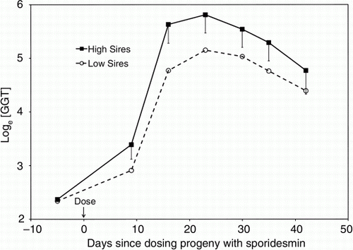 Figure 1.  Mean loge[GGT] of calf groups, after dosing with the FE toxin sporidesmin and classified by the progeny-test status for FE susceptibility of their five ‘High’ (susceptible) Jersey sires or five ‘Low’ GGT (resistant) Jersey sires: results are summarised for the calves in loge i.u./l units (with bars shown for the standard error of the difference) against days since the toxin challenge (from Morris et al. Citation1991a) (NB: Factor of ×1.75 between the mean loge[GGT] values of High vs Low sire groups (74 calves)).