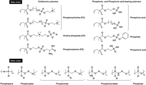 Figure 1. Structures of typical phosphorus-containing polymers