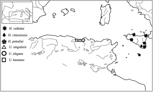 Figure 24. Distribution map of Hybleoniscus gen. nov. and Uncuniscus gen. nov.