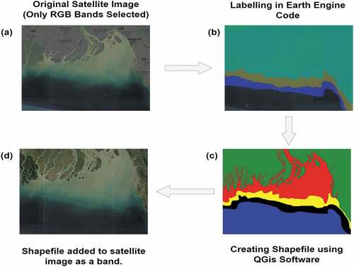 Figure 3. Image labeling and band extraction (a) 12-band satellite image. (b) Labeling with google earth engine. (c) Generating shapefile by QGis Software. (d) Adding shapefile as the 13th band to the original image.