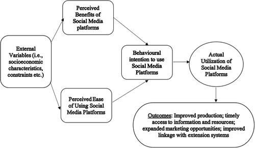 Figure 1. Technology acceptance model for social media utilization.Source: Adapted from Venkatesh and Bala (Citation2008).