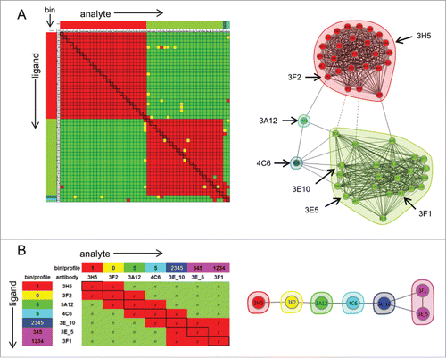 Figure 5. (A) 51 × 51 heat map (left) and network blocking plot (right) showing the bins deduced for a set of 51 library antibodies. In the heat map, red and green cells represent analyte/ligand pairs that blocked or sandwiched, respectively; yellow cells represent analyte/ligand pairs that gave intermediate responses that could not be assigned clearly to either category. Seven clones (indicated by the arrows) were selected as “internal controls” whose overlapping epitopes represented the breadth of the library's epitope coverage. (B) 7 × 7 heat map (left) and network blocking plot (right) for the “internal controls.” Each antibody is assigned a blocking profile as described in Fig. 2's caption.