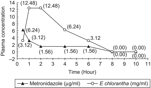 Figure 5.  Active principle concentration equivalence of E. chlorantha extract and metronidazole in plasma as a function of time after a single oral dose (concentration determined as the product of the MID and MIC). Metronidazole, 25 mg/kg b.w.; active principle equivalence of E. chlorantha extract at 3000 mg/kg b.w. Values in brackets represent the active concentration equivalence in plasma.
